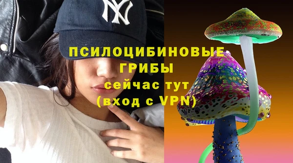 кокаин Белокуриха