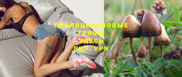 кокаин Белокуриха